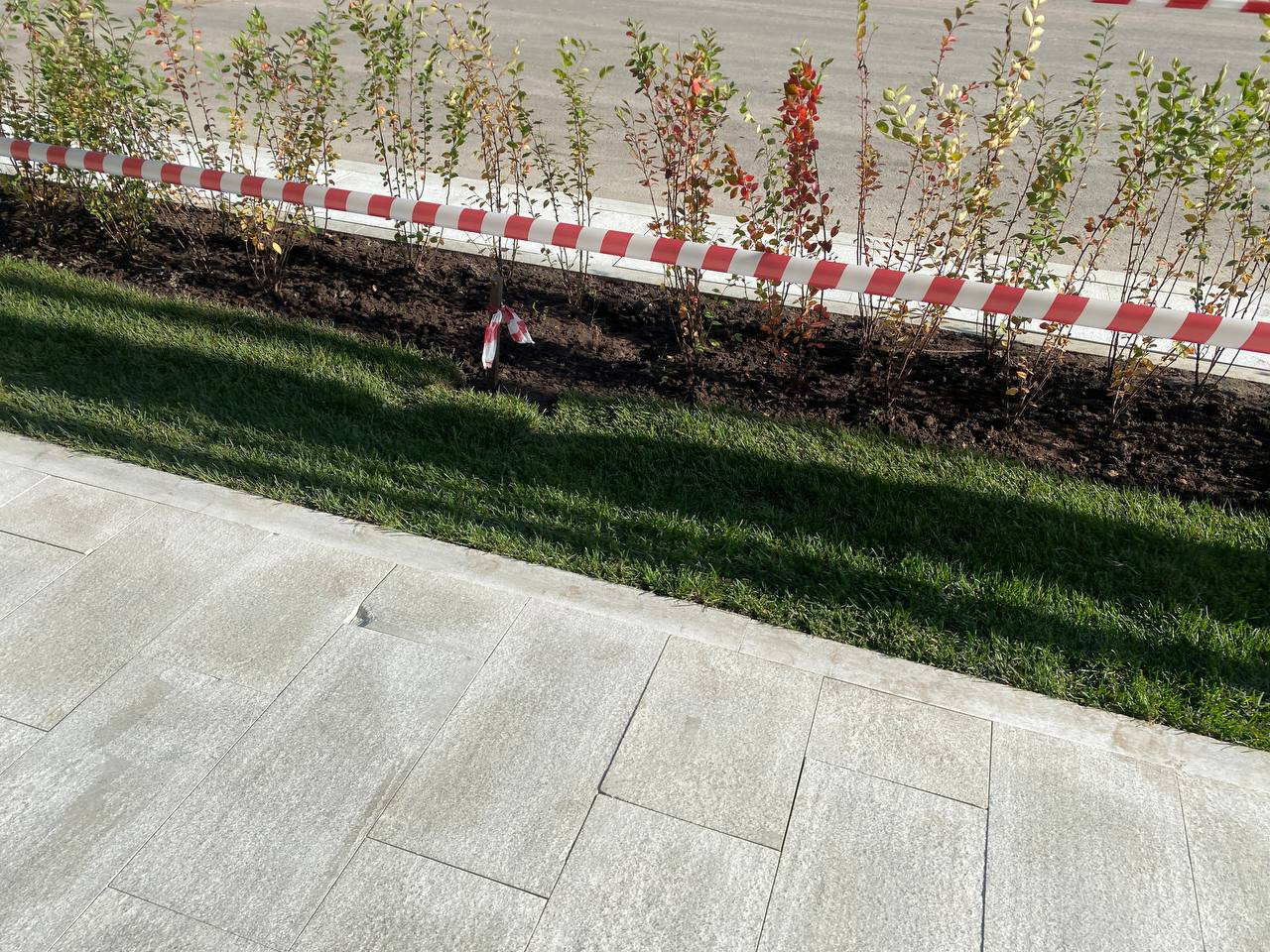 https://tuapse.blago-s.ru/storage/app/uploads/public/670/e06/820/670e06820d5c2175931920.jpeg